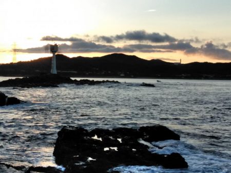 グレ釣れてます・・・