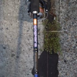 いつになったらタチウオ開幕!?