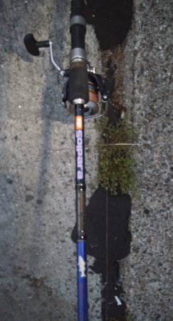 いつになったらタチウオ開幕!?