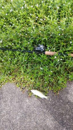 ちょっと寄り道