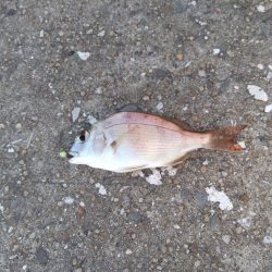 癒やされた休日