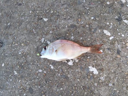 癒やされた休日