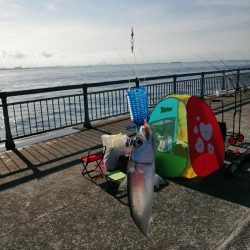 ファミリーフィッシング