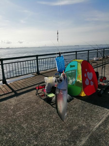 ファミリーフィッシング