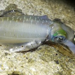 7時間で3杯とか・・・