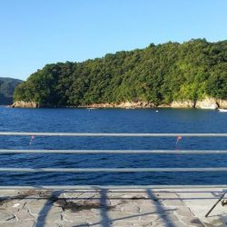 投げ釣り　夜釣り　タイ狙い