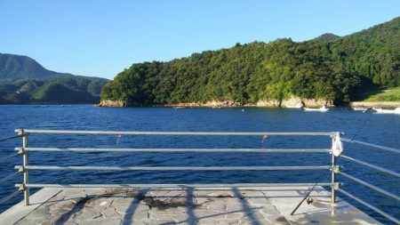 投げ釣り　夜釣り　タイ狙い