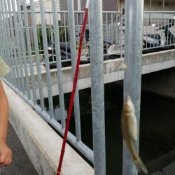 仕事の合間に❗