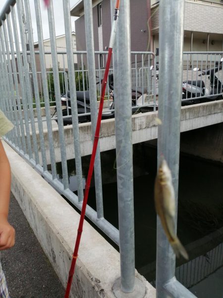 仕事の合間に❗