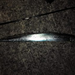 ショアタチシーズン到来