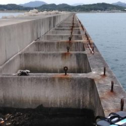 アジ・グレ・チヌ・チャリコ・・・