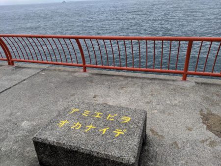 石鯛グレなどかサビキで釣れました。