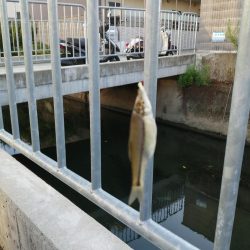 仕事の合間に❗