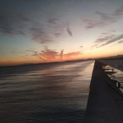 武庫川一文字で五目狙いでの釣果