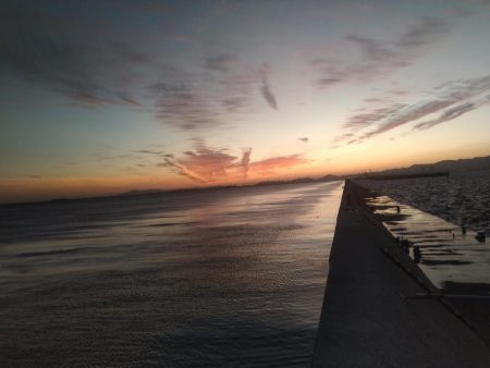 武庫川一文字で五目狙いでの釣果