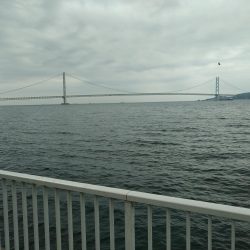 ちょっと寄り道で釣れました