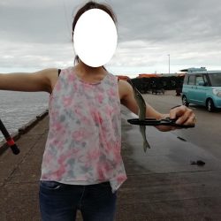 さより好調(小さめです)