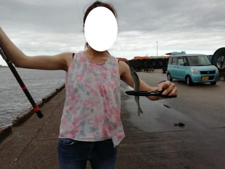 さより好調(小さめです)