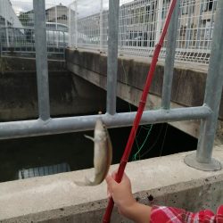 お休みなので❗