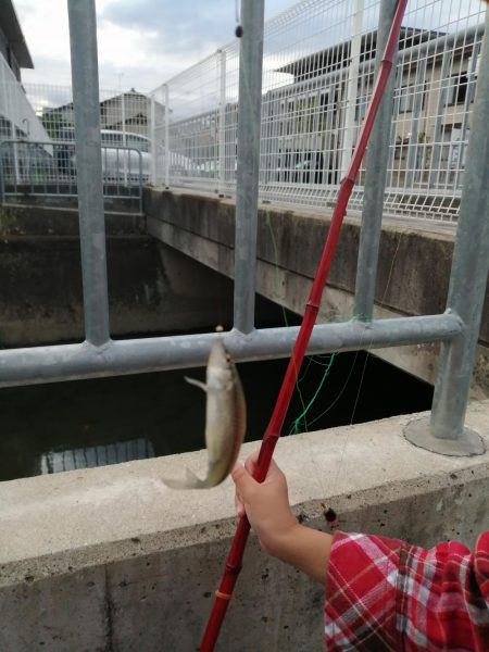 お休みなので❗