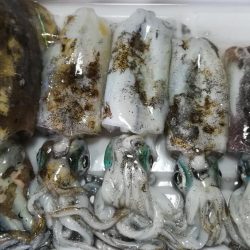 12時間で5杯とか・・・