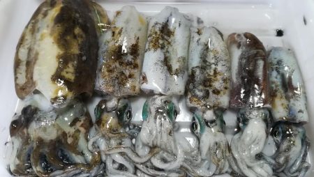 12時間で5杯とか・・・