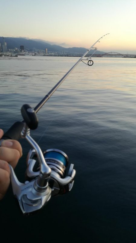 指4本半！量型タチウオGET！