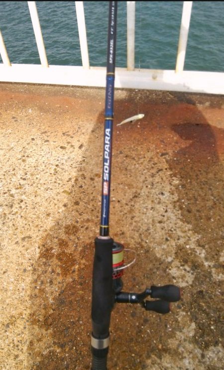 厳しい中、ツバスに救われた