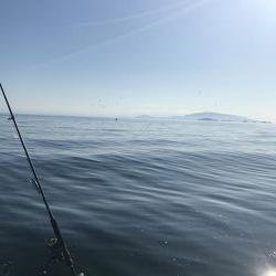 小豆島不発からの家島付近ボートキャスティング!