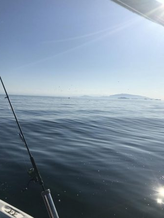 小豆島不発からの家島付近ボートキャスティング!