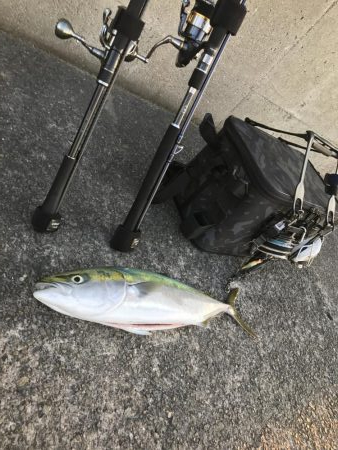 初場所でミノー!62cmハマチ?メジロ!?