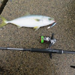 人生初の青物ゲット!