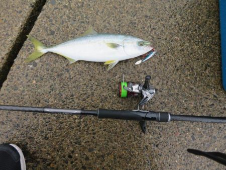 人生初の青物ゲット!