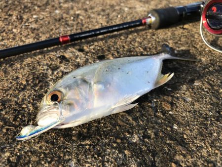 定番のメッキポイントその2