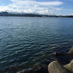 コアジ大漁80匹