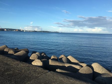 コアジ66匹 メッキ