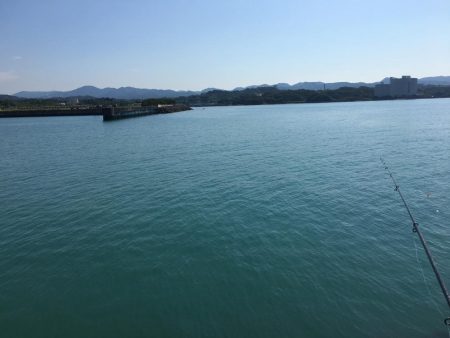 コアジ大漁80匹