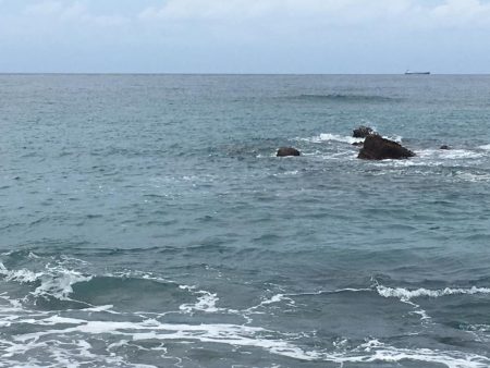 日置大浜にシマアジはいない