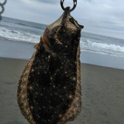 サーフでヒラメリベンジ成功!!