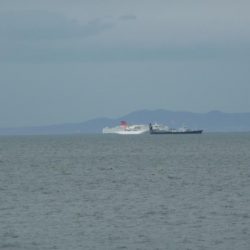 今日も太刀のみ。。