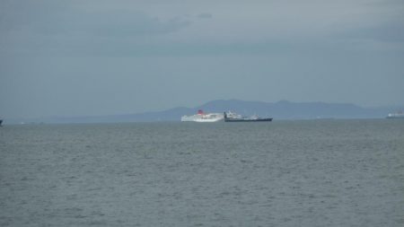 今日も太刀のみ。。