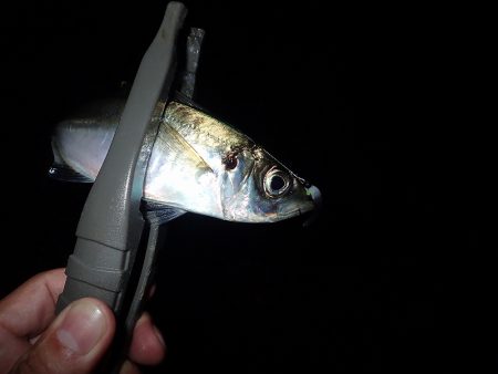 外向きと内向き!