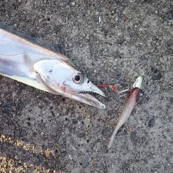 ワインドでガツンっとカウンターヒット!