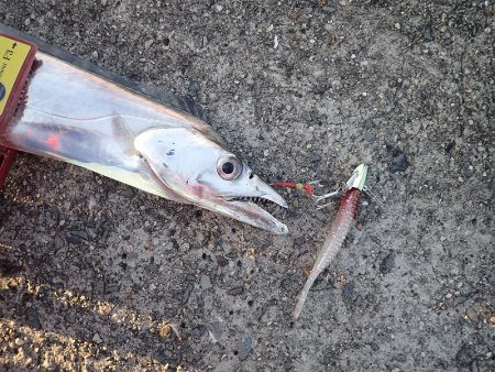 ワインドでガツンっとカウンターヒット!