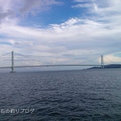 晩のおかず釣り