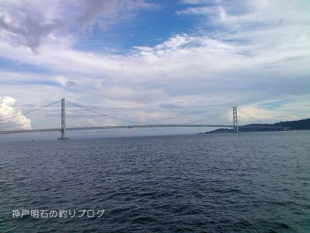 晩のおかず釣り