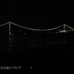 ファミリーフィッシング＆泳がせのイカ狙い