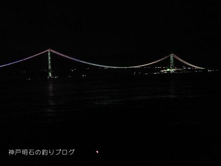 ファミリーフィッシング＆泳がせのイカ狙い