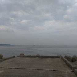 外道の方が高級魚