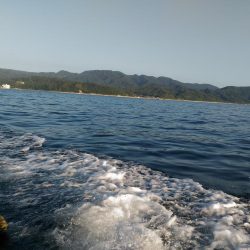 2019年7月末台風のリベンジ